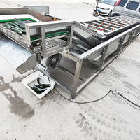 Continue industriële bubbelwasmachine automatische fruit- en groentewasser voor bladgroenten en bessen verwerkingslijn