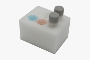 Kit de detección de metritis equina contagiosa Kit PCR RTPCR en tiempo real Kit de prueba PCR equina liofilizada Instrumento veterinario - Product Image 4