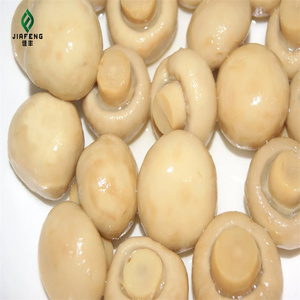 Chất Lượng Cao Đóng Hộp Nút Nấm Từ Trung Quốc Nhà Máy Nước Quá Trình Bảo Quản Tuyệt Vời Trung Quốc Đóng Hộp Nấm - Product Image 5