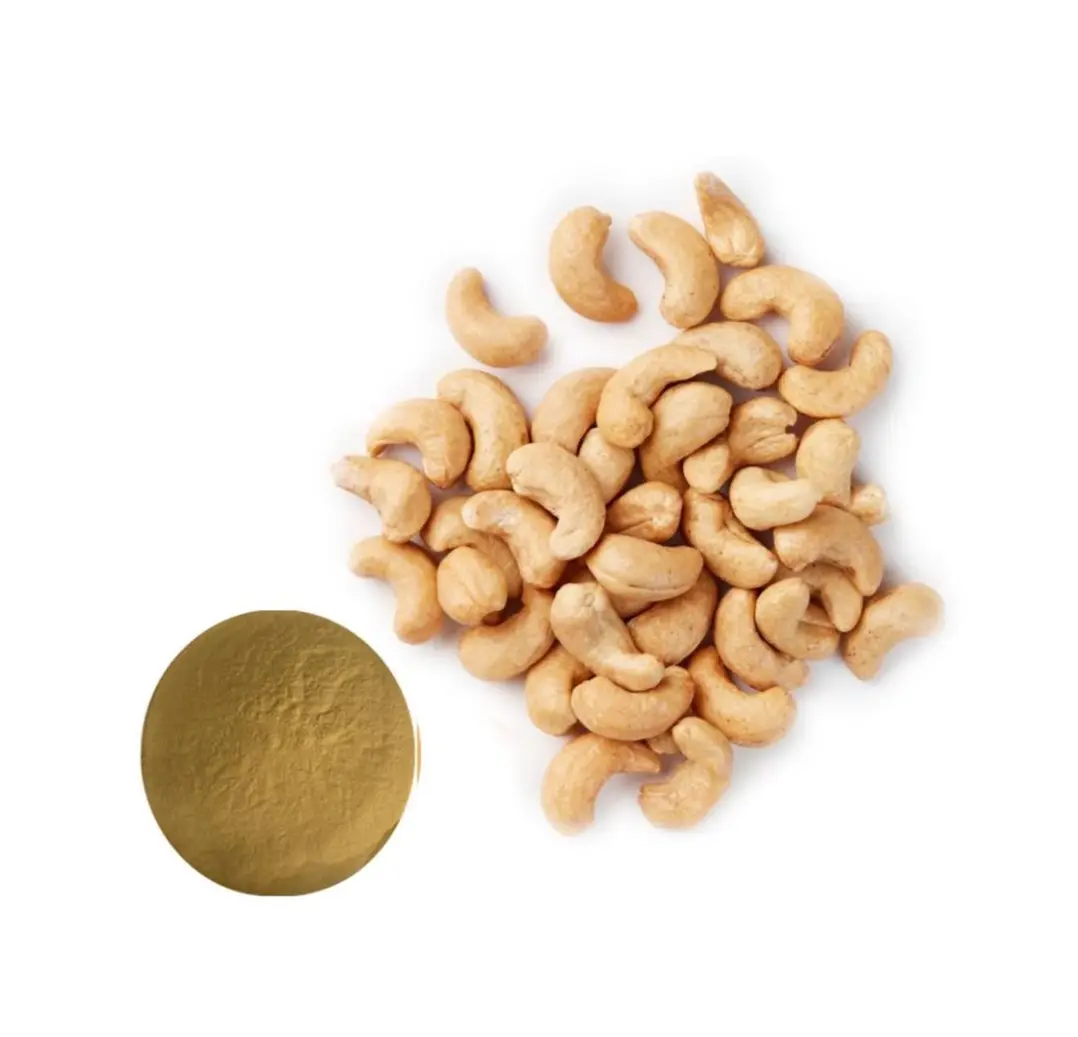 Pure Natural High Quality Cashew Extract/Cashew Nut Extract/Cashew Powder