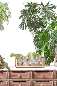 New Retro-Style Planting Hydroponicswith Wooden Stand Air Planter Bulb Vase Home <b>Garden</b> Desktop Propagation Station Used Bonsai - Product Image 2