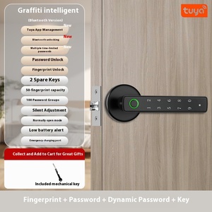 Graffiti Im Lặng Cửa Gỗ Văn Phòng & Căn Hộ Một Tay Mở Kẽm Hợp Kim Key Cho Tuya Ứng Dụng & Vân Tay Mật Khẩu Khóa Đám Mây - Product Image 6