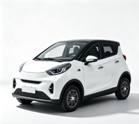 Voiture électrique mini à quatre roues entièrement fermée, écologique, 3600W, pour adultes, à conduire à la main, prix usine