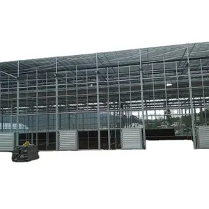 Large Multi-Span Greenhouse With Outside Sunshade System For Agriculture Greenhouse Use