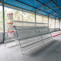 Cage à poules pondeuses de type A, nouvelle conception, capacité 96/160 oiseaux, en acier galvanisé, système de nettoyage automatique