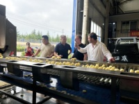 YZ Automatische productielijn voor aardappelchips en groente-/fruitchips met friteuse, capaciteit 100-200 kg/uur, snackmachine
