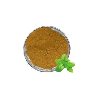 Экстракт кошачьей мяты (Nepeta Cataria) в порошке 10:1 по лучшей цене - Product Image 1