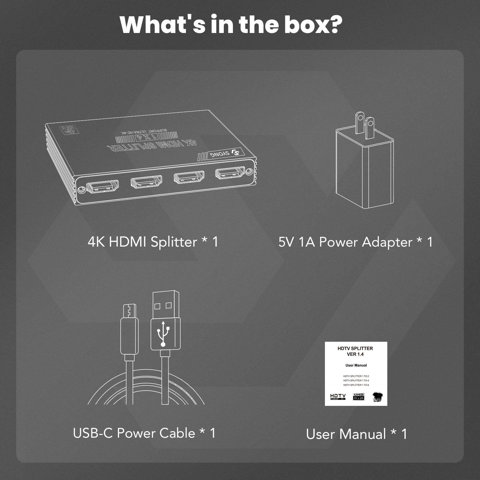 ซง ซิลเวอร์