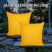 JACK Lot de 2 Housses de Coussin d'Extérieur 50x50cm Imperméables Écologiques pour Sièges de Jardin et Chaises de Salon 100% Coton