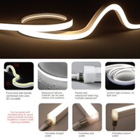 Bande LED en silicone intégrée, éclairage LED néon flexible, extrusion de silicone creux, moulage de bande LED