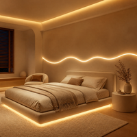 Bande LED néon en silicone souple et flexible pour usage professionnel, CRI 90 élevé, DC24V, éclairage créatif, décoration personnalisée, étanche IP67, BIS CE