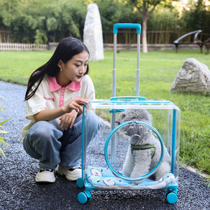 Clear Pet Rod Case Large Portable Traveler Pet <strong>Cages</strong> Carrier Out Cart Large Breathable Pet Air Case - Product Image 5