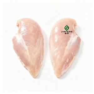 Pechuga de Pollo <span class=keywords><strong>Halal</strong></span> BQF Sin Hueso Congelada Empaquetada a Granel en Bolsas - Product Image 5