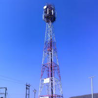 Tour en acier d'esthétique architecturale pour les stations de radio urbaines, les points touristiques et les plans directeurs de la télécommunication