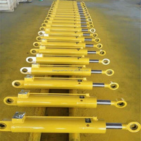 Pour Cat D9R D9T D9N 165-8633 1658633 Vérin hydraulique de levage adapté au bulldozer sur chenilles