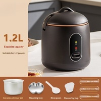 Cuisinière à riz multifonctionnelle en acier inoxydable, mini, avec revêtement antiadhésif, faible consommation d'énergie, commande mécanique, capacité de 1 à 2 litres pour la maison