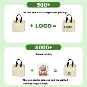 Bolsa Térmica Desechable de Aluminio No Tejido para Bebidas Frías y Calientes, Café, Comida para Llevar, Pequeña - Product Image 4