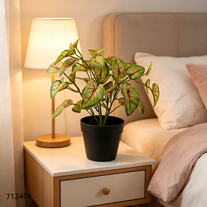 <span class=keywords><strong>ต้น</strong></span>คาลเลเดียมปลอม 5 กิ่ง ลายเส้นสีแดง พร้อมกระถางพลาสติก<span class=keywords><strong>สี</strong></span><span class=keywords><strong>ดำ</strong></span> ตกแต่งบ้าน - Product Image 1