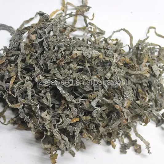 Best Price sun dried brown seaweed fresh sea kelp Algae, seaweed buyer