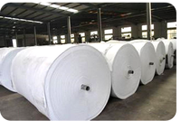 Géotextile perforé par aiguille PET de haute qualité