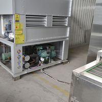 300kg/uur IQF-machine voor voedselverwerking, vriesmachine, lijn voor het maken van diepvriesfrieten, apparatuur voor laagtemperatuurvriezers
