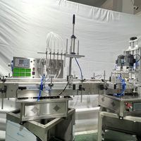 Ligne de production automatique de remplissage de liquides en bouteille, machine de remplissage et de bouchage automatique pour shampooings, produits cosmétiques, boissons et jus d'orange