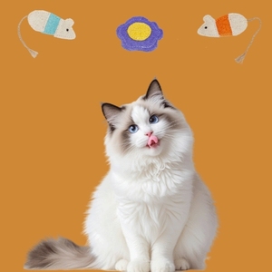 Jouets à mâcher naturels en loofah pour chat, pour le nettoyage des dents et le plaisir personnel, utilisables en intérieur et en extérieur - Product Image 2