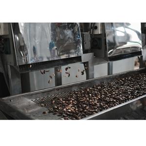 Ligne de décorticage de noix de cajou, type 1, tête de coupe à 6 lames, capacité 160-200 kg/h, entièrement automatique, fournisseur de premier plan - Product Image 1