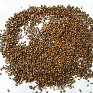 Toptan yüksek kalite sıcak satış doğal meni Cassiae Torae tohum bitki çay bitkisel çay