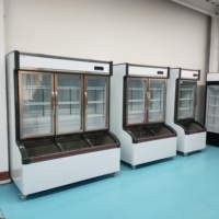 Congélateur commercial grand format pour boissons et légumes, vitrine réfrigérée pour supermarchés et dépanneuses, congélateur de conservation et de refroidissement