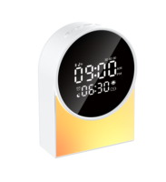 Nouvel arrivage : Machine à bruit blanc portable sans fil haute puissance avec réglage IA pour haut-parleur 5.3 et lumière LED