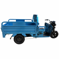 Tricycles électriques à trois roues de haute qualité, meilleur rapport qualité-prix, pour adultes, avec caisse ouverte, pouvant accueillir deux personnes, 800W, robustes, avec éclairage LED, capacité de charge de 200-300 kg