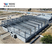 Estructura de Almacén de Acero, Proveedor Líder en la Industria, Construcción de Estructura Metálica de Acero Ligero, Precio Competitivo, Calibre Ligero