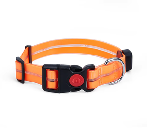 <span class=keywords><strong>Collar</strong></span> de perro de gato de neopreno reflectante de lujo, correa de nailon ajustable, hebilla de bloqueo, cinta de Animal ligera moderna Simple para grandes - Product Image 1