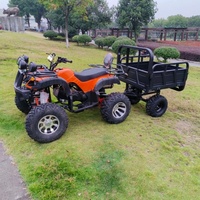 Quad agricole tout-terrain Hilly Farm 6x4 avec moteur 250cc à refroidissement par air pour le transport de matériel agricole