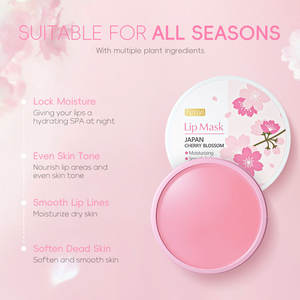 OEM personnalisé 15g Masque à lèvres fleur de cerisier Double hydratant Tendre Sweet Lip Oil Fabricant de marque Baume à lèvres - Product Image 2