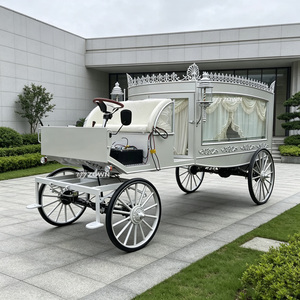 Véhicule de transport de cercueil entièrement personnalisé, conforme aux normes européennes, pour les fournisseurs de services funéraires mondiaux - Product Image 1