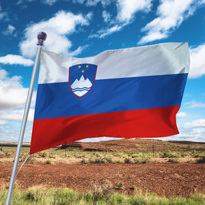 <span class=keywords><strong>Bandera</strong></span> estrella blanca 100% poliéster, producto promocional, decoración al aire libre, personalizada, <span class=keywords><strong>bandera</strong></span> veneciana - Product Image 2