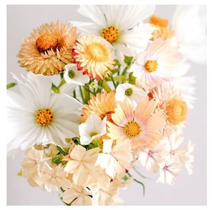 Sostenibile eco-friendly fiori artificiali e frutta per la casa interna terrari e vasi di fiori utilizzati per la semina all'aperto - Product Image 2