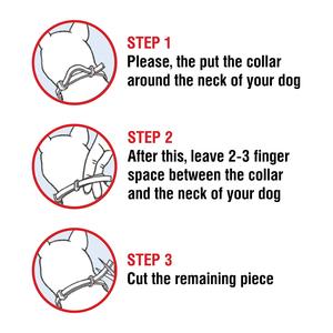 <span class=keywords><strong>Collar</strong></span> antipulgas para perros Tratamiento de pulgas y <span class=keywords><strong>garrapatas</strong></span> Protección de 8 meses <span class=keywords><strong>Collar</strong></span> ajustable impermeable Prevención de pulgas y <span class=keywords><strong>garrapatas</strong></span> para perros - Product Image 6
