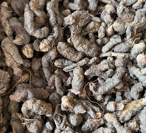 <span class=keywords><strong>Quan</strong></span> Shen สมุนไพรแห้ง Polygonum Paleaceum รากสำหรับขาย - Product Image 4