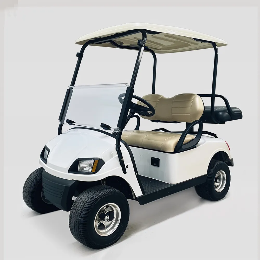 Chinese Factory Price 2 seater Golf Carts Car Electric Golf Cart