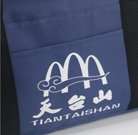 Sac de voyage en polyester RPET léger et personnalisé, à la mode, promotionnel, avec fermeture éclair