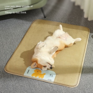 Sommer-Hundematte & Katzenmatte, Anti-Biss Kühlmatte aus Rattan, Rechteckiges Schlafnest für den grenzüberschreitenden Handel - Product Image 3