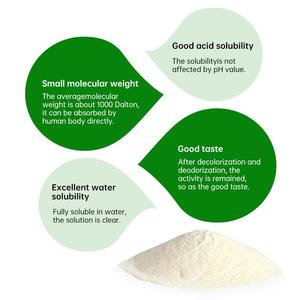 Vente directe d'usine de poudre de protéines de lactosérum biologique 100% nourrie à l'herbe pour répondre aux besoins en protéines des travailleurs - Product Image 4