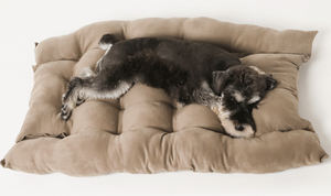 UFBemo-cama de algodón PP de alta calidad personalizada para perros pequeños, ropa de cama lavable de lujo para cachorros y mascotas, gran oferta - Product Image 5