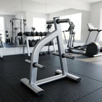 Support pour plaques de poids avec plusieurs emplacements de rangement, en acier massif, design peu encombrant pour le rangement des plaques de poids à la maison et en salle de sport.