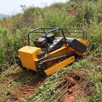 Tondeuse à fléaux sur chenilles télécommandée 1200 mm pour la coupe de talus et de zones herbeuses