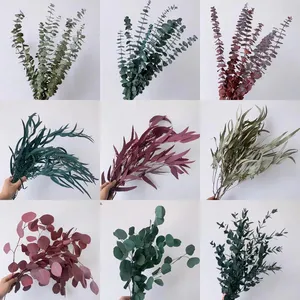 2023 Hot Sale Eucalyptus Leaves Dried Eucalyptus Stems Bouquets Decorated With Preserved Eucalyptus Leaves