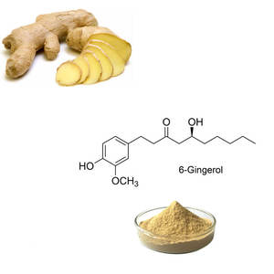 Factory Bulk Supply Herbal Extract <strong>Ginger</strong> Root Extract Powder Gingerol 10% HPLC Certified Drum Packaging - Product Image 2